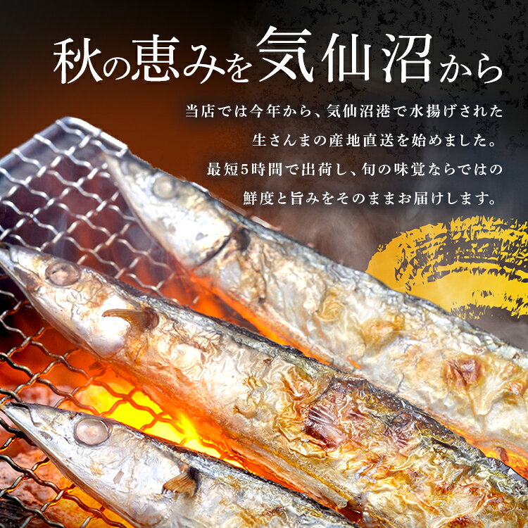 住まいと暮らしの110番の生さんま 三陸 気仙沼 冷蔵 塩焼き 阿部長 三陸・気仙沼産 とれどき三陸【TD】 【代引不可】｜アングル2