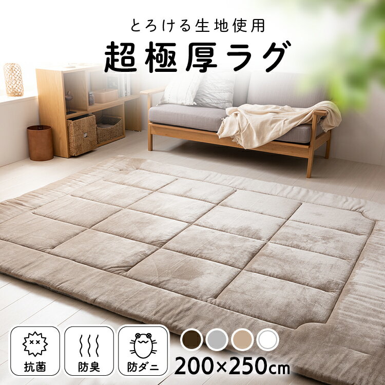 ラグ 洗える 3畳 200×250 北欧 おしゃれ 韓国 厚手 ラグマット カーペット 滑り止め付 オールシーズン 絨毯 高反発 超極厚 20mm もっちり ふわふわ 5層構造 抗菌 防臭 防ダニ ホットカーペット対応 床暖房対応 超極厚ラグ *