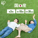 リアル人工芝 IP-30310送料無料 人工芝 国産 アイリスオーヤマ ガーデン メンテナンスフリー ベランダ 防カビ グリーン 芝丈3cm クッション性 【代引不可】