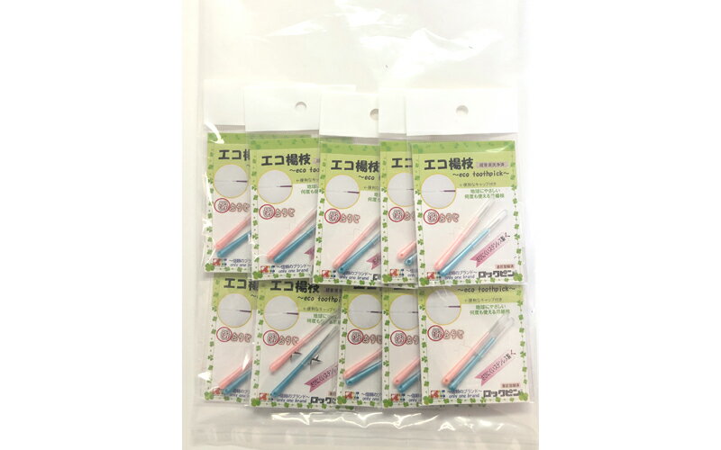 業務用 携帯用 ステンレス楊枝 【エコ ようじ】まとめ買い