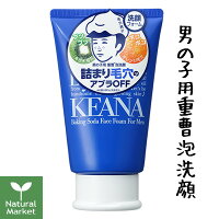 毛穴撫子 男の子用重曹泡洗顔 100g[石澤研究所 毛穴撫子 いちご鼻 角栓 角質 メンズ 酵素洗顔]【北海道 宅配 3980〜9799円のご注文は自動キャンセル】