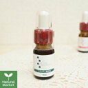 【ポイント10倍】パルセイユ 芦屋ハーブバレー エラスチン美容液 10mL 【北海道 宅配 3980~9799円のご注文は自動キャンセル】