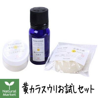 【ポイント15倍】山澤清　黄カラスウリ　お試しサンプル3点セット（山澤清/ハーブ研究所）