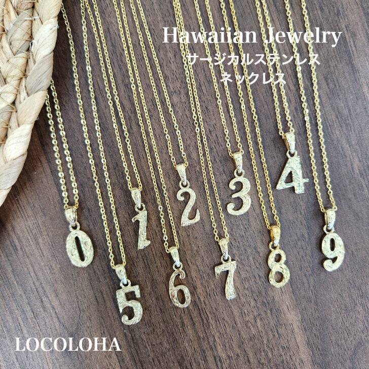 �ڥ��������륹�ƥ�쥹316L �ʥ�С��ͥå��쥹�� �ʥ�С� ��С����֥� �ʥ�С� �ͥå��쥹 �ϥ磻�����奨�꡼ �ϥ兩�� �ϥ磻 �ϥ磻����