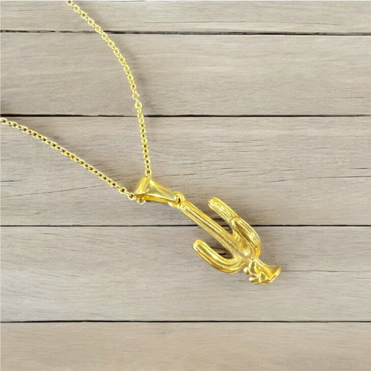 【SALE価格\5.500→\3.980 金属アレルギー対応 サボテン ネックレス】 サージカルス...