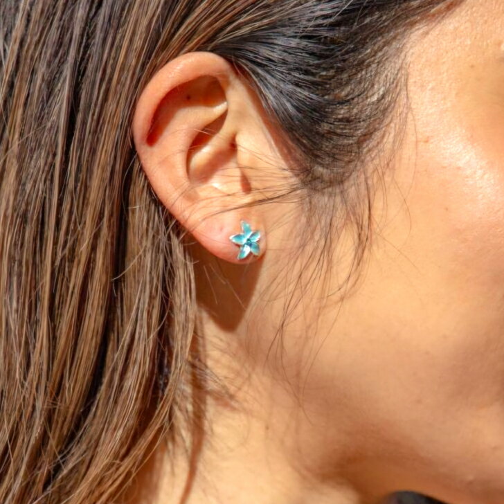 �ڥץ��ꥢ �ԥ����ۥץ��ꥢ �ԥ��� �ϥ磻����