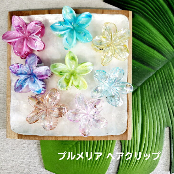 �ڥץ��ꥢ �إ�����åסۥإ�����åס��Х󥹥���åס��ץ��ꥢ���ϥ磻���󡡥ϥ磻���󻨲�