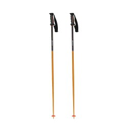 sinano skiing pole [SL-R @16500]シナノ スキーポール 【送料無料】