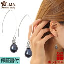 【母の日】 ハワイアンジュエリー ピアス セカンドピアス イヤリング シルバー925 ロジウム ブラックパール 黒真珠 フックタイプ パイナップル フルーツ プ...