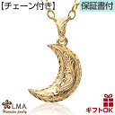 ハワイアンジュエリー ネックレス 【チェーン付】ペンダント トップ サージカルステンレス316 イエローゴールド ハーフムーン 月 半月 流星 スクロール 波 ...