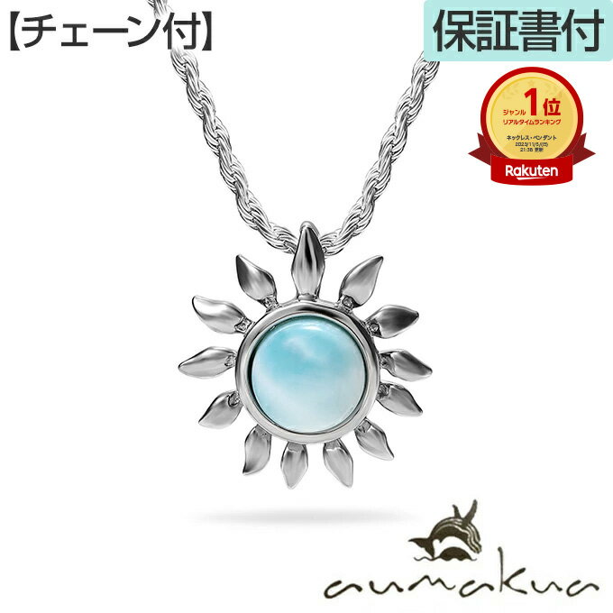 【P5+クーポン有】ハワイアンジュエリー ネックレス 【チェーン付】 ペンダントトップ ヘッド シルバー925 ロジウム 加工 ラリマー 天然石 パワーストーン...