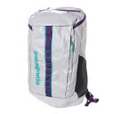 パタゴニア Patagonia Black Hole Pack 25L (white)