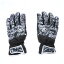 サロモン Salomon ユニセックス スキー グローブ JP SALOMON PTN GLOVE L40290000