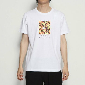 【アウトレット】クイックシルバー QUIKSILVER メンズ 半袖Tシャツ ISLAND BOX ST QST191041