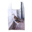 ルートート ROOTOTE EU.ルーショッパーREG.フォトーR Tricolor (Tricolor)