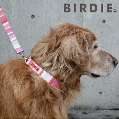 バーディ BIRDIE ワンタッチマルチボーダーカラー L 中・大型犬用ワンタッチバックル首輪【返品不可商品】 （ブルー）