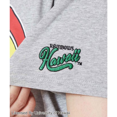 【Kahiko】University of Hawaii レインボーメンズTシャツ グレー