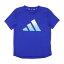 ǥ adidas ˥ ȾµǽT YB TRAIN ICONS T IC5409 ʥ륷åɥ֥롼/ۥ磻/֥֥ɥ֥롼