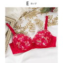 ウイング Wing 3/4カップブラ ふわぴたパッドがバストとカップのスキマを埋める【スキマフィットブラ】 (RE)