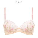 ウイング Wing ブラジャー 【後ろ姿きれいブラ】 背中の段差すっきりスムージング (OR)
