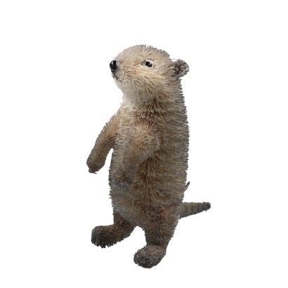 カンカン KANKAN たわしアニマル コツメカワウソ （コツメカワウソ）