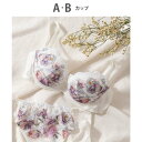 ウイング Wing ブラジャー 【重力に負けないバストケアBra】 気軽にバストケア 背中すっきり (IV)
