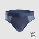 バニラ Vanilla メンズセクシービキニブリーフ(ストレッチメッシュ素材)【返品不可商品】 (ネイビー)