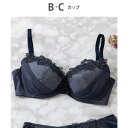 ウイング Wing ブラジャー シアー感のあるラグジュアリーなデザイン 軽やかなつけごこち 【2720シリーズ】 レシアージュ (KO)