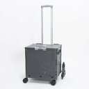 アンドフラット &.FLAT コンパクトキャリーケース Ranger 36L (ダークグレー)