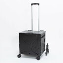 アンドフラット &.FLAT コンパクトキャリーケース Ranger 36L (ブラック)