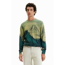 デシグアル Desigual 風景モチーフ ハイゲージニットセーター (ブラウン)