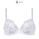 ウイング Wing 3/4カップブラジャー 【ナチュラルアップブラ】 (PO)
