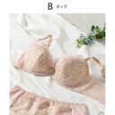 ウイング Wing ブラジャー 夏のブラストレスから解放 さらっと快適 上胸ふっくら 背中すっきり 【ときはなつブラ】 (BE)