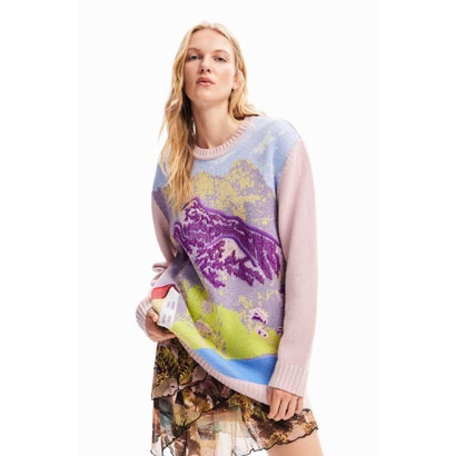デシグアル Desigual M. Christian Lacroix 風景モチーフ セーター (ピンク/レッド)