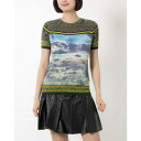 デシグアル Desigual 風景モチーフ ニットTシャツ (マルチ)