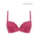 トリンプ Triumph トリンプストーリー 557 ブラジャー D-Eカップ (ローズ)