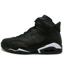 ナイキ NIKE AIR JORDAN 6 RETRO BLACK CATナイキ エアジョーダン6 レトロ ブラックキャット （BLACK CAT）