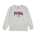 v[} PUMA WjA TVc PUMA SQUAD LS TVc_ 677724 iCg O[ wU[j