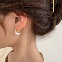 ハートピアス レディース 耳飾り(4)