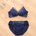 パリーゼ Palissee 【EFカップ】ニュアンスフルール3/4カップブラ&ショーツ【返品不可商品】 (ネイビー)