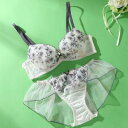 パリーゼ Palissee 【EFカップ】グラデーションシアーフラワー3/4カップブラ&バックレースフレアショーツ【返品不可商品】 (アイボリー)