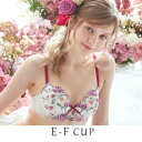 リサマリ Risa Magli レンヌ ブラジャー (レッド(060))