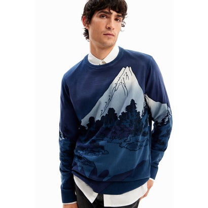 デシグアル Desigual 風景モチーフ ハイゲージニットセーター (ブルー)