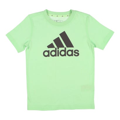 アディダス adidas ジュニア 半袖Tシャツ エッセンシャルズ ビッグロゴ コットン半袖Tシャツ IS2581 （セミグリーンスパーク/チャコール）