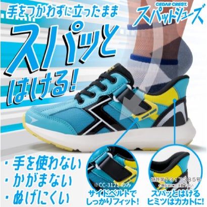���ѥåȥ��塼����Ĵ���٥���ա˼��Ȥ鷺�������� CEDAR CREST CC-3121