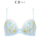 ウイング Wing ブラジャー 夏のブラストレスから解放 汗の不快感を軽減(カップ肌側・ワイヤーループ・バック) 背中すっきり 【ときはなつブラ】 (SX)