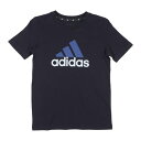 AfB_X adidas WjA TVc GbZVY 2J[ rbOS RbgTVc IS2587 iWFhCN/Z~Vbhu[/n[u[j