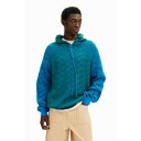 デシグアル Desigual ALEJANDRO プルオーバーロングスリーブ (ブルー)