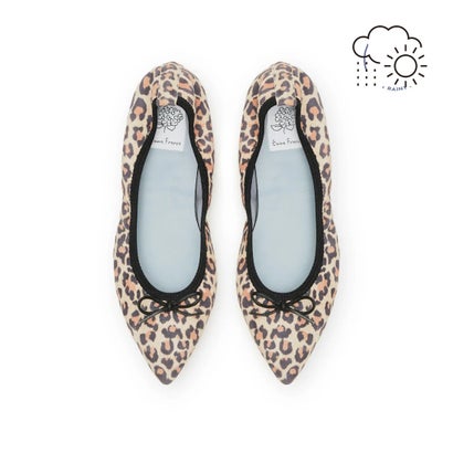 【パールトーン撥水】エマ フランシス Emma Francis フラットバレエシューズ （レオパード柄 レザースエード）