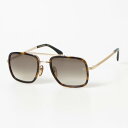 アイウェア バイ デイヴィッド・ベッカム EYEWEAR by DAVID BECKHAM サングラス レディース メンズ (ゴールド/ハバナ)